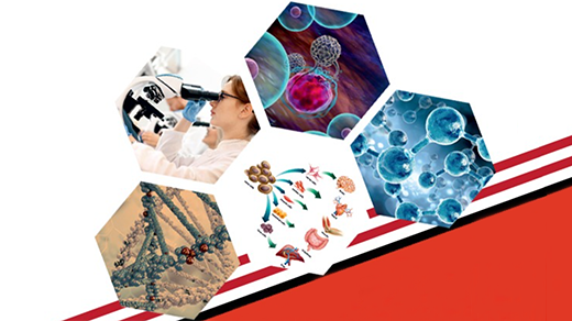 8th Multidisciplinary Cancer 2021online image