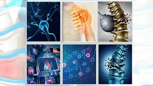 16th National Algology Congress