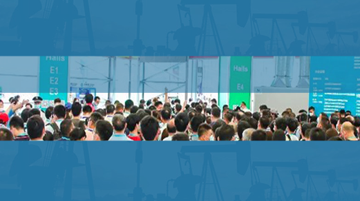 International Petroleum & Petrochemical Technology Conference 2021